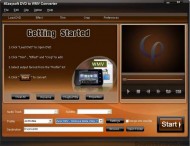 4Easysoft DVD to WMV Converter screenshot